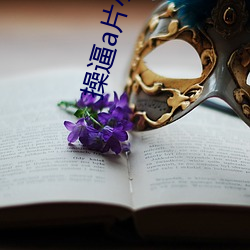 操逼a片小视频