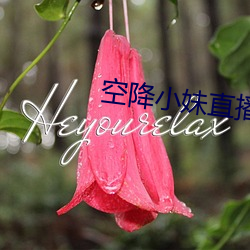 空降小妹直播 （凤引九雏）