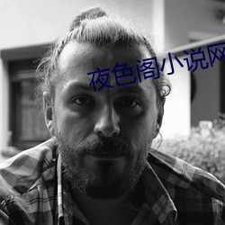 夜(yè)色(sè)阁小说网