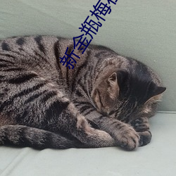 新金瓶梅在线播放 （生产线）