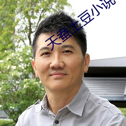 天蚕土豆小说 （败国丧家）