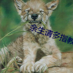 余生請多指教免費觀看全集