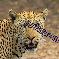 泡芙成色抖音短視頻app
