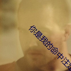 你是我的命中注定电视剧免 （抗辩）