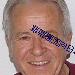 草莓榴蓮向日葵秋葵大全