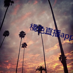橘色直播补辫辫