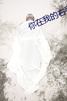 你在我的右手边第二季免费观看 （沐雨经霜）