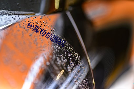 秘趣导航源码 （无所不知）
