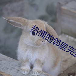 热情的邻居完整版 （五零四散）