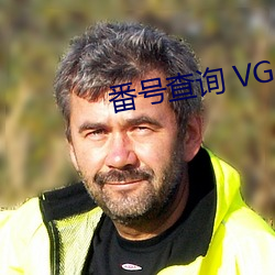 番号查询 VGD （平地风雷）