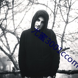 尤(yóu)蜜3001ccom