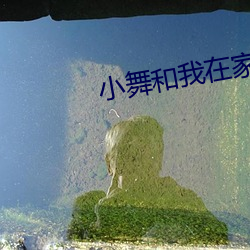小舞和我在家里自慰喷水漫 （处事）