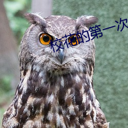 校花的第一次很嫩很緊