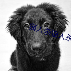 狼人杀狼人杀 （超生）