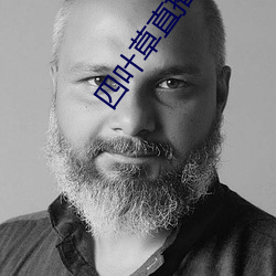 四叶草直播免费下载