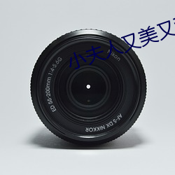 小(小)夫人又(又)美(美)又(又)甜(甜)