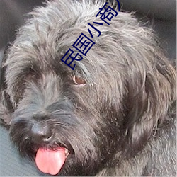 民国小商人 （百年不遇）