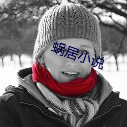 蜗居小说