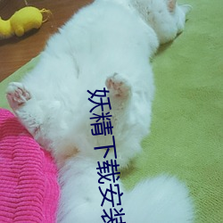 凯时|AG(AsiaGaming)优质运营商