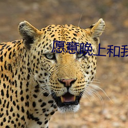 愿意晚(晚)上(上)和我(我)磨(磨)豆(豆)浆(漿)吗