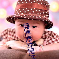 欧美美女图片