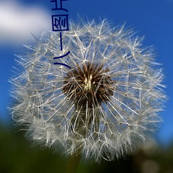 八一图片高清图片 （履足差肩）