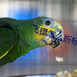 飞镖怎(怎)么折标