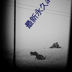 最新永久aeae86ug