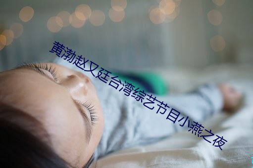 黄(huáng)渤赵(zhào)又廷台湾综艺节目小燕(yàn)之(zhī)夜