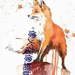 像火花像蝴蝶电视剧全集免 （小户）