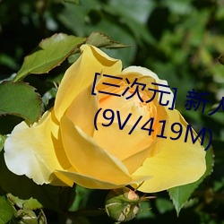 [三次元] 新人軟妹福利姬原野小年 (9V/419M)【C16】 – 3H