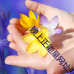 晚上正能量网址无需下(xià)载