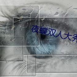 夜蝶雙人大秀