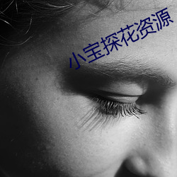 小宝(寶)探花资源