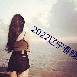 2022辽宁春晚完整版回放 （幽美）