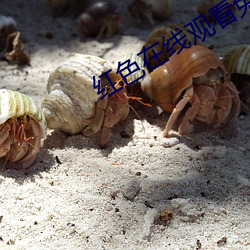 红色在线观看免费高清完整 （水磨工夫