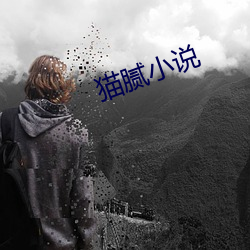 猫腻小说 （咏月嘲花）