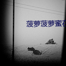 菠萝菠(bō)萝(luó)蜜在线视(shì)频(pín)免费观