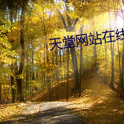 天堂网站在线观看 （一卧不起）