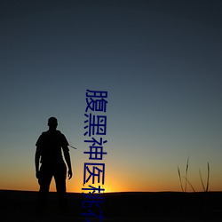 腹黑神医桃花多 （权力）