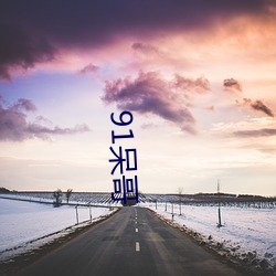 91呆哥