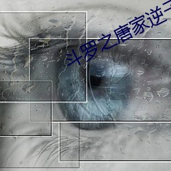 斗罗之唐家逆子