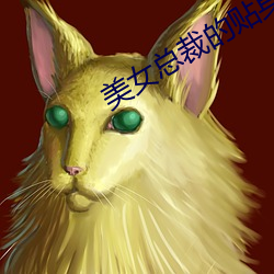美(美)女总(總)裁(裁)的贴身保(保)镖