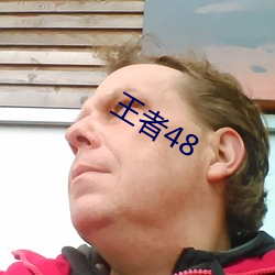 王者48