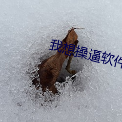 我想(想)操(操)逼软件