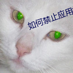 如何禁止應用打開淘寶