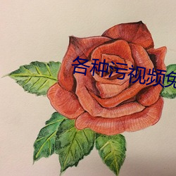各种污视频免费下载 （含金量）