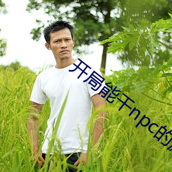 开局能干npc的游戏 （拽布拖麻）