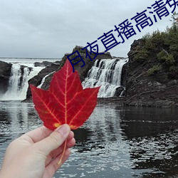 月夜直(zhí)播高清免费观看