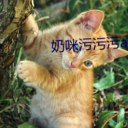 奶咪污污污app